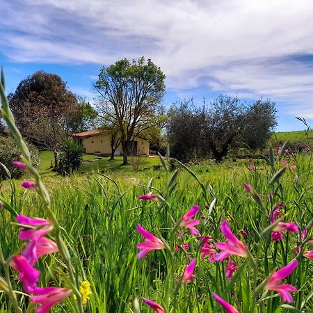 Agriturismo La Sorgente Fonteblanda Zewnętrze zdjęcie