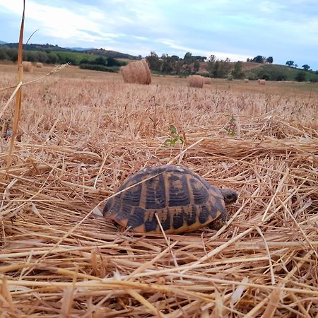 Agriturismo La Sorgente Fonteblanda Zewnętrze zdjęcie