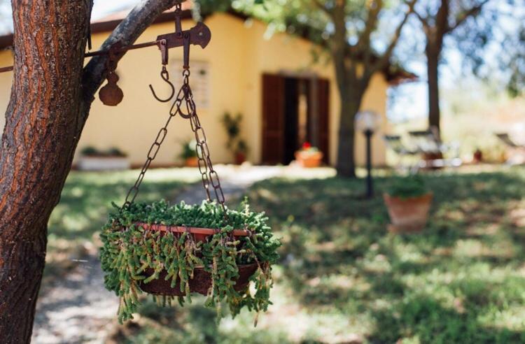 Agriturismo La Sorgente Fonteblanda Zewnętrze zdjęcie