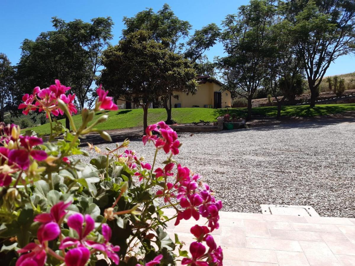 Agriturismo La Sorgente Fonteblanda Zewnętrze zdjęcie