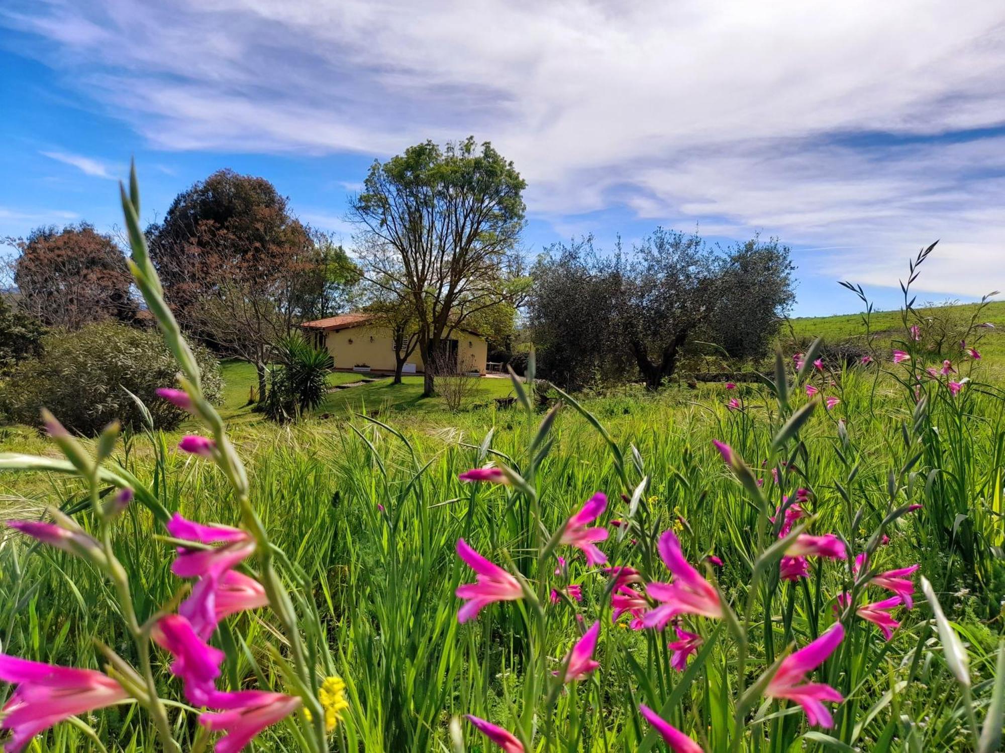 Agriturismo La Sorgente Fonteblanda Zewnętrze zdjęcie